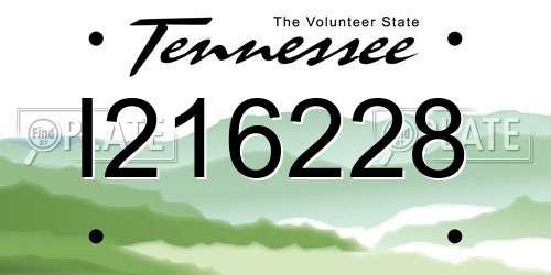 I216228 Tennessee License Plate