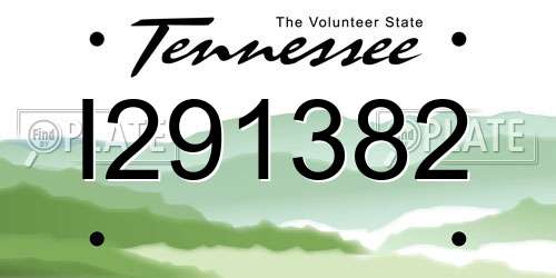 I291382 Tennessee License Plate
