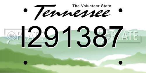 I291387 Tennessee License Plate