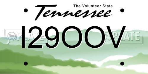 I29OOV Tennessee License Plate