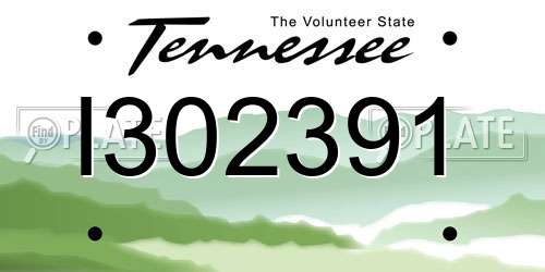 I302391 Tennessee License Plate
