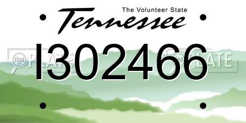 I302466 Tennessee License Plate