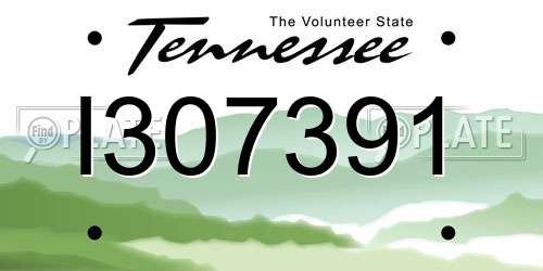 I307391 Tennessee License Plate