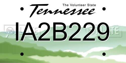IA2B229 Tennessee License Plate