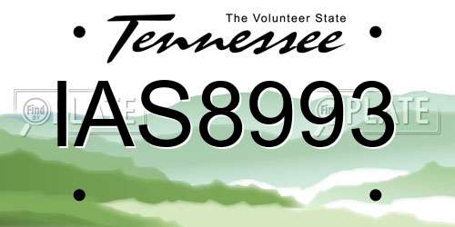 IAS8993 Tennessee License Plate