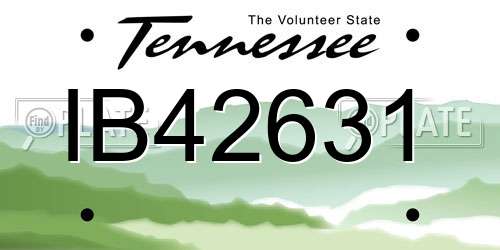 IB42631 Tennessee License Plate