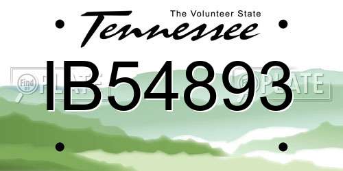 IB54893 Tennessee License Plate