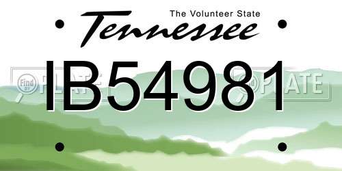 IB54981 Tennessee License Plate