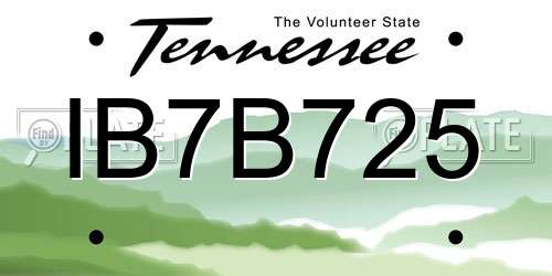 IB7B725 Tennessee License Plate