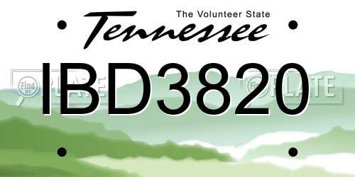 IBD3820 Tennessee License Plate
