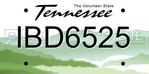 IBD6525 Tennessee License Plate