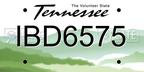 IBD6575 Tennessee License Plate