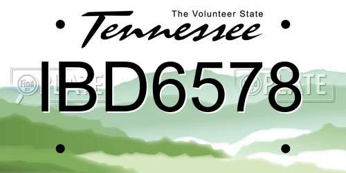 IBD6578 Tennessee License Plate