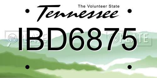 IBD6875 Tennessee License Plate