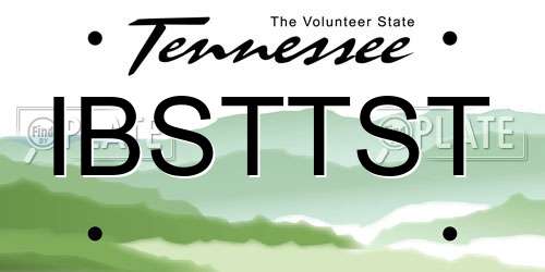 IBSTTST Tennessee License Plate