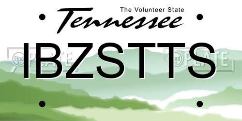 IBZSTTS Tennessee License Plate