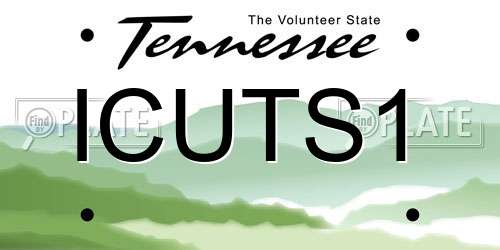 ICUTS1 Tennessee License Plate