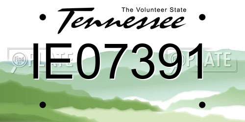 IE07391 Tennessee License Plate
