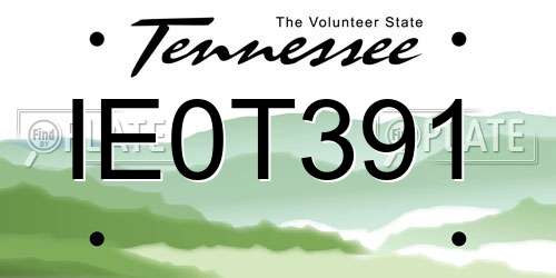 IE0T391 Tennessee License Plate