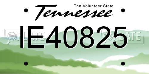 IE40825 Tennessee License Plate