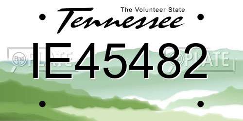 IE45482 Tennessee License Plate