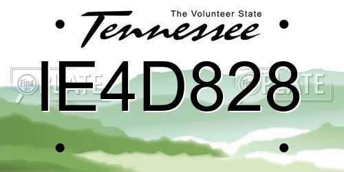 IE4D828 Tennessee License Plate
