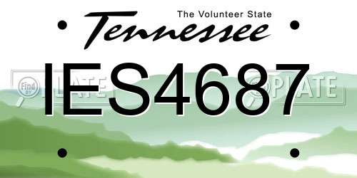 IES4687 Tennessee License Plate