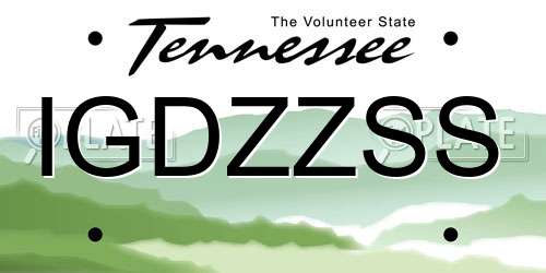 IGDZZSS Tennessee License Plate