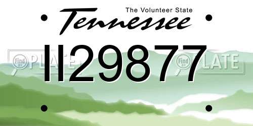 II29877 Tennessee License Plate