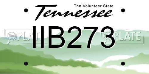 IIB273 Tennessee License Plate