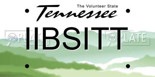 IIBSITT Tennessee License Plate