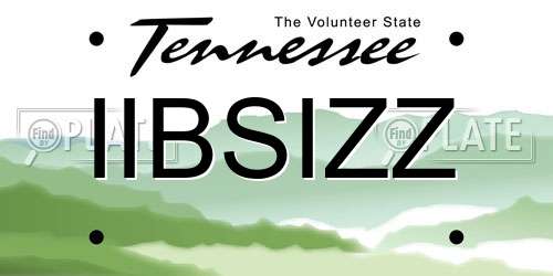 IIBSIZZ Tennessee License Plate