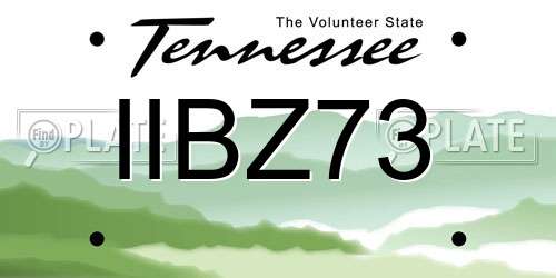 IIBZ73 Tennessee License Plate