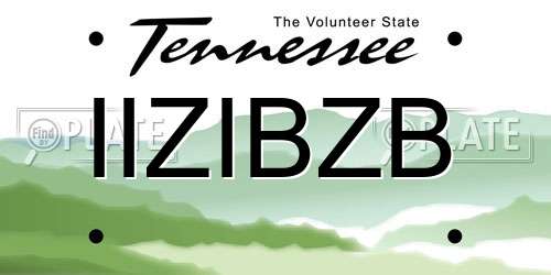 IIZIBZB Tennessee License Plate