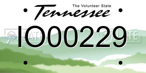 IO00229 Tennessee License Plate