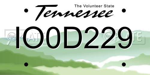IO0D229 Tennessee License Plate