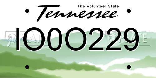IO0O229 Tennessee License Plate