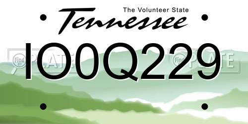 IO0Q229 Tennessee License Plate