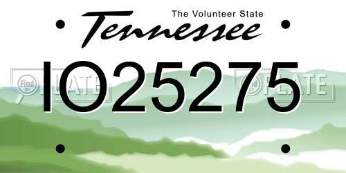 IO25275 Tennessee License Plate