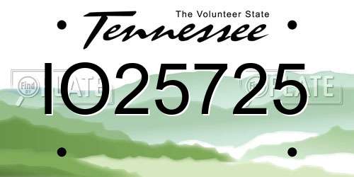 IO25725 Tennessee License Plate