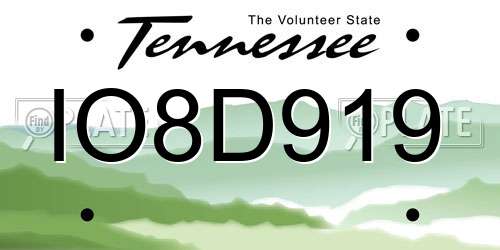 IO8D919 Tennessee License Plate