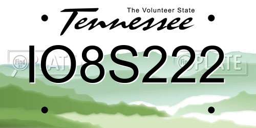 IO8S222 Tennessee License Plate
