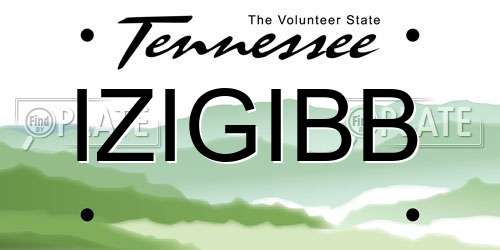 IZIGIBB Tennessee License Plate