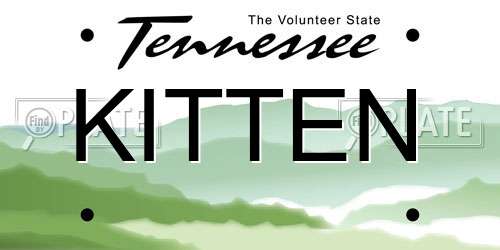 KITTEN Tennessee License Plate