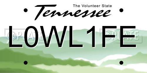 L0WL1FE Tennessee License Plate