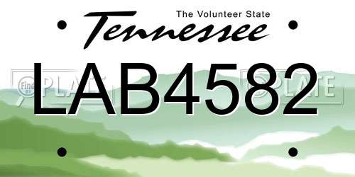 LAB4582 Tennessee License Plate