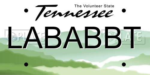 LABABBT Tennessee License Plate