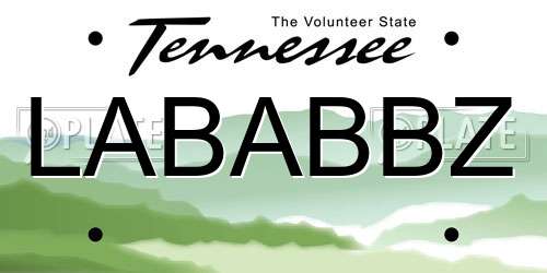 LABABBZ Tennessee License Plate