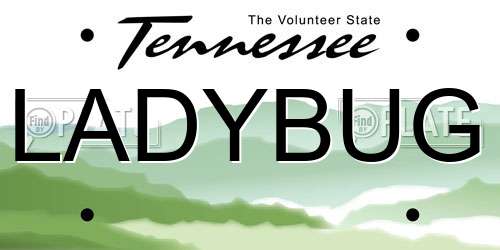 LADYBUG Tennessee License Plate