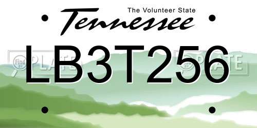 LB3T256 Tennessee License Plate